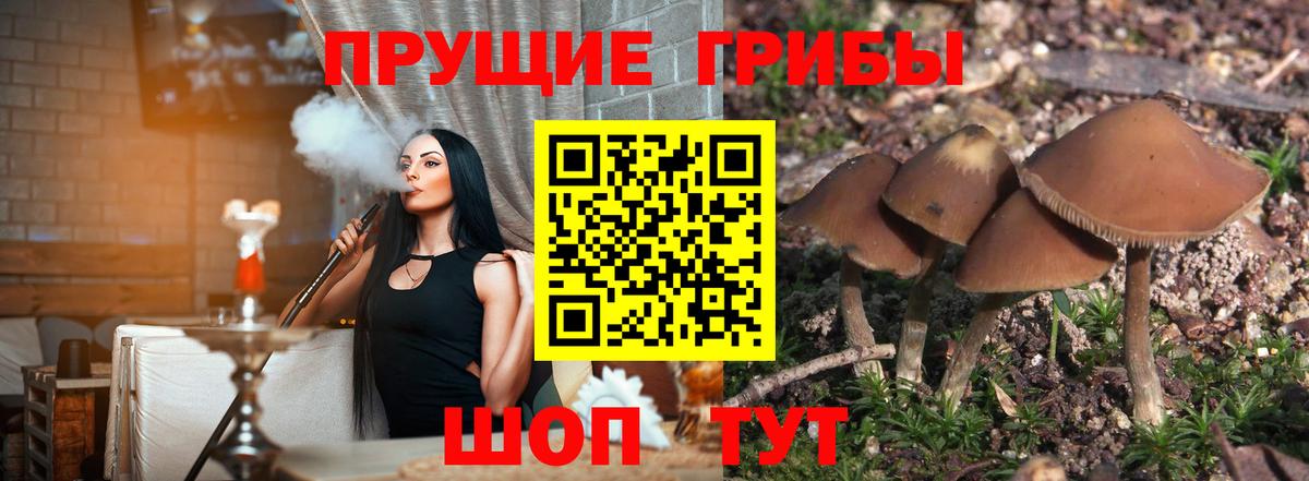Псилоцибиновые грибы GOLDEN TEACHER  Вход с VPN  Скопин 